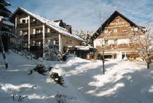 Hotel Berghof Willingen  Esterno foto